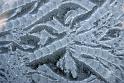 2010-12-01, Eisblumen (6)